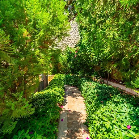 فيلة Eco Villa Alba *